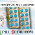 Kamagra Oral Jelly 1 Week Pack new08